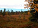 6-4 Glowing autumn marsh and forest   * 800 x 588 * (579KB)